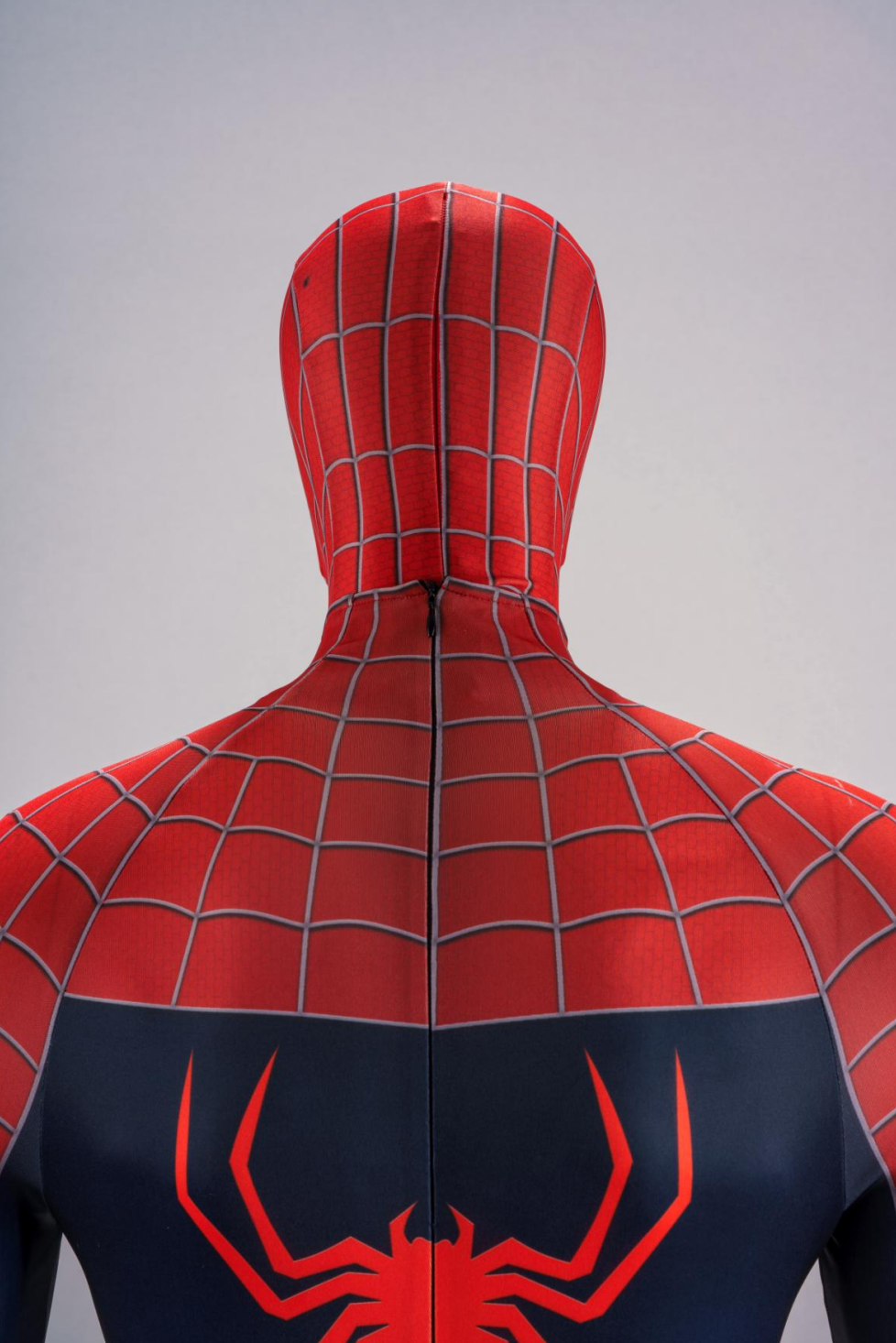 Printed style Peter Parker Cosplay Costume