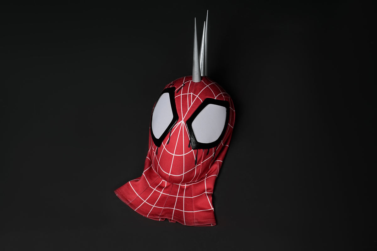 Across the Spider-Verse Hobart Hobie Brown Cosplay Costume